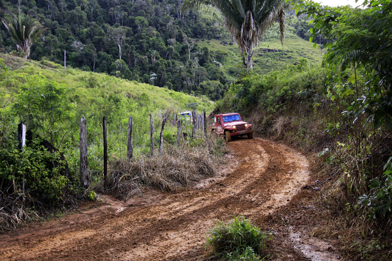 Leia mais sobre o artigo Raposas de Minas comemora título no Transbahia