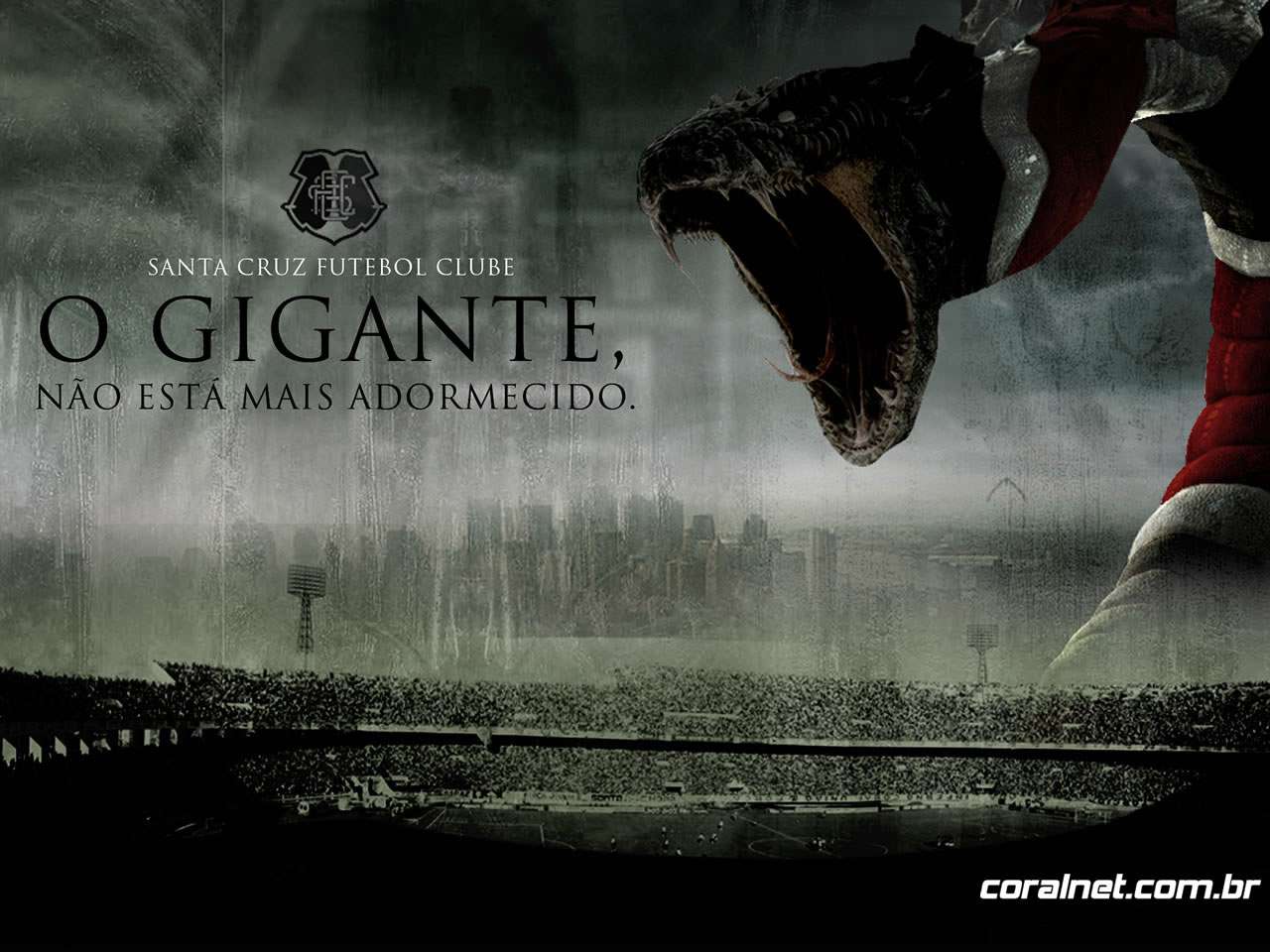 Leia mais sobre o artigo Santa Cruz: o calvário, a Série D e o despertar do gigante