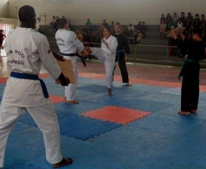 Leia mais sobre o artigo JF Open de Taekwondo e Hapkido: expectativa de participação de mais de 100 atletas