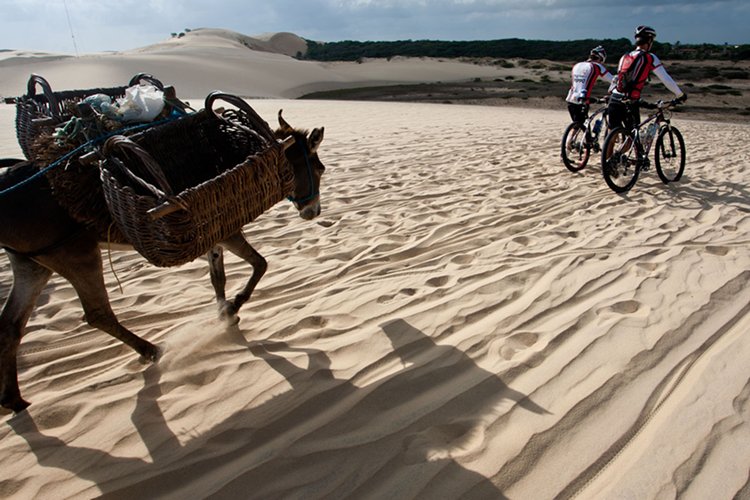 Leia mais sobre o artigo Diário do Rally Cerapió 2014. Juiz-foranos em ação. Resultados e fotos