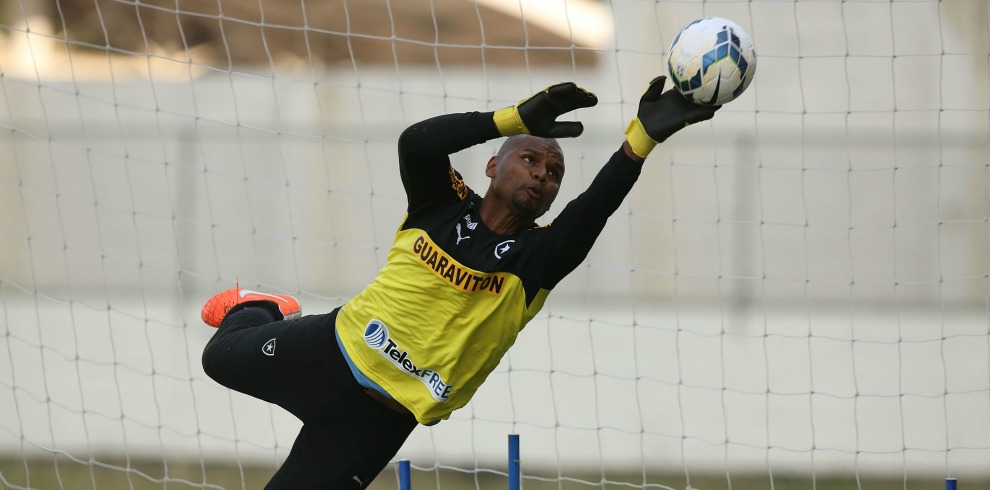 Leia mais sobre o artigo Goiás x Botafogo pelo Brasileirão confirmado para Juiz de Fora, dia 14