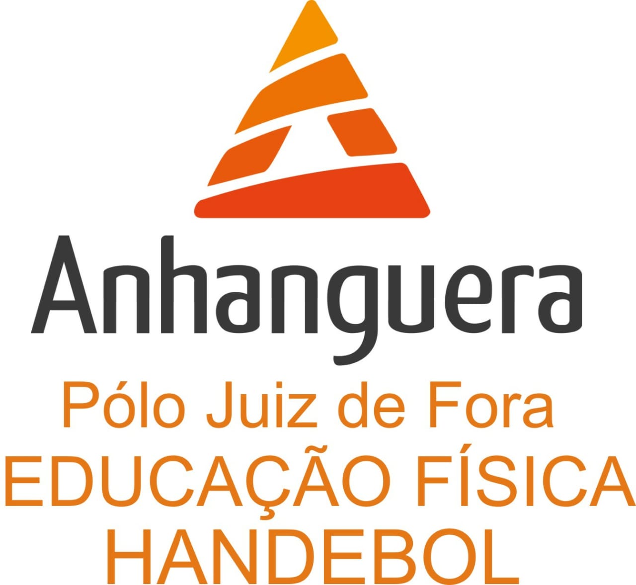 Leia mais sobre o artigo JF ganha novas equipes de handebol e curso de Educação Física