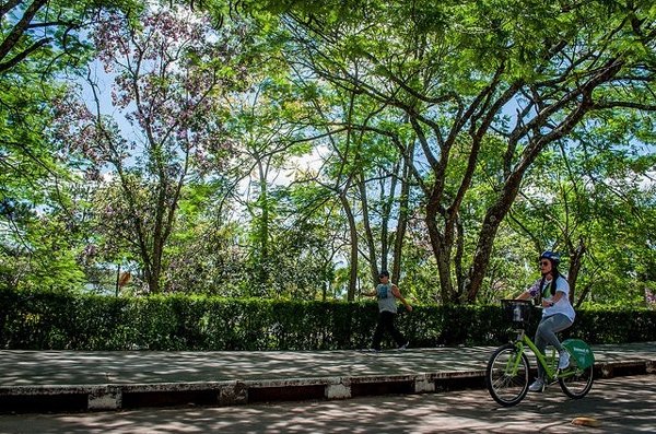 Leia mais sobre o artigo Ciclismo: há urgência de saber mais sobre quem usa bicicleta em JF